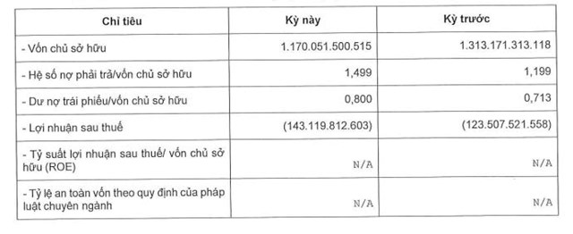 Kết quả kinh doanh của Bất động sản Di&ecirc;n Vĩ từ 1/1/2023 đến 31/12/2023.