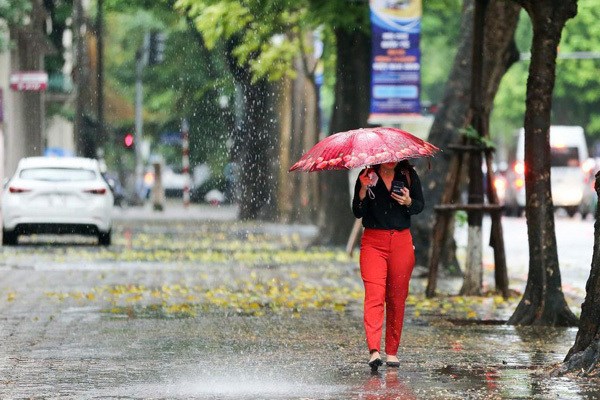 Thời tiết miền Bắc đầu tuần c&oacute; mưa r&agrave;o, d&ocirc;ng v&agrave;i nơi.