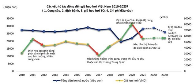 BSC Research: Gi&#225; thịt heo c&#243; thể tăng cao, Dabaco (DBC) dự b&#225;o l&#227;i 43 tỷ đồng năm 2023 - Ảnh 1