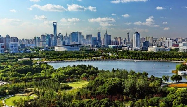 Nằm tại trung t&acirc;m quận phố Đ&ocirc;ng, C&ocirc;ng vi&ecirc;n Thế kỷ l&agrave; c&ocirc;ng vi&ecirc;n c&oacute; diện t&iacute;ch lớn nhất tại th&agrave;nh phố Thượng Hải. Nơi đ&acirc;y&nbsp;sở hữu những b&atilde;i cỏ xanh m&ecirc;nh m&ocirc;ng, h&agrave;ng c&acirc;y được cắt tỉa cầu kỳ, những khu vườn mang cả hai phong c&aacute;ch thiết kế c&acirc;y cảnh &Aacute; - &Acirc;u.&nbsp; &nbsp;
