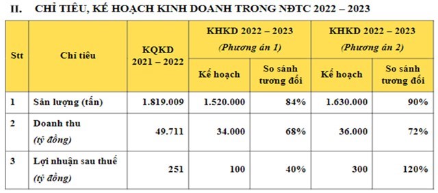 Kế hoạch kinh doanh của HSG