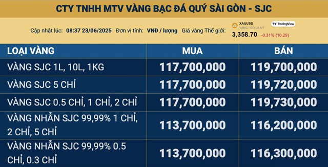 Gi&#225; v&#224;ng ng&#224;y 23/6: V&#224;ng thế giới điều chỉnh nhẹ, v&#224;ng miếng SJC b&#225;m s&#225;t ngưỡng 120 triệu đồng/lượng - Ảnh 2