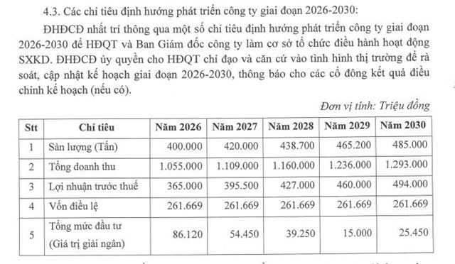 Dịch vụ H&#224;ng h&#243;a Nội B&#224;i (NCT) đặt mục ti&#234;u doanh thu đạt hơn 1.000 tỷ đồng trong năm 2025 - Ảnh 2