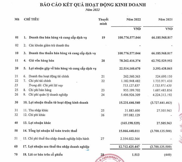 Kết quả kinh doanh sau kiểm to&aacute;n năm 2022 của HPH&nbsp;