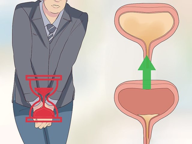 Nhịn tiểu thường xuy&ecirc;n c&oacute; thể g&acirc;y hại l&ecirc;n b&agrave;ng quang, đường tiết niệu.