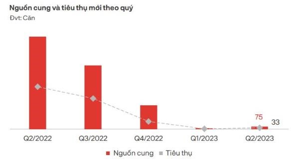 Nguồn cung v&agrave; ti&ecirc;u thụ của loại h&igrave;nh shophouse trong qu&yacute; II/2023