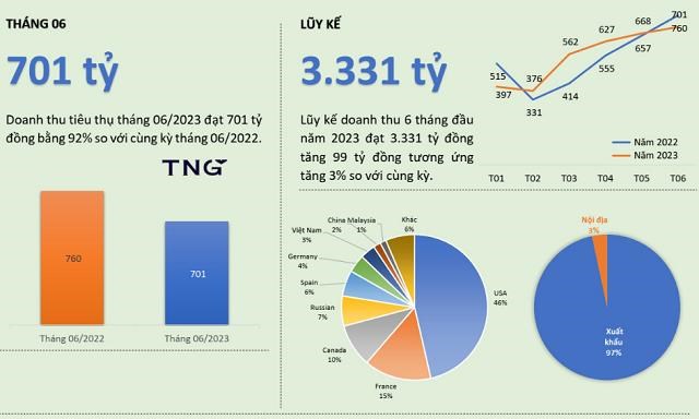 Kết quả kinh doanh th&aacute;ng 6 v&agrave; lũy kế 6 th&aacute;ng đầu năm 2023 của TNG