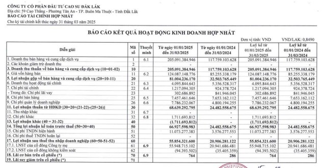 Đầu tư Cao su Đắk Lắk (DRI) sắp chi hơn 36 tỷ đồng để trả cổ tức c&#242;n lại năm 2024 - Ảnh 1