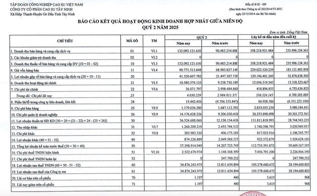 Cao su T&#226;y Ninh (TRC) b&#225;o l&#227;i b&#225;n ni&#234;n 2025 tăng gấp 3,7 lần c&#249;ng kỳ - Ảnh 1