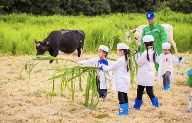 Bố ơi, m&#236;nh đi đ&#226;u thế? 2025 - Tập 10: Nắng xứ Nghệ ch&#225;y da, tiếng Nghệ - tiếng Th&#225;i khiến c&#225;c bố &#39;rối n&#227;o&#39;, d&#224;n cast nh&#237; lần đầu học nu&#244;i b&#242; sữa - Ảnh 1