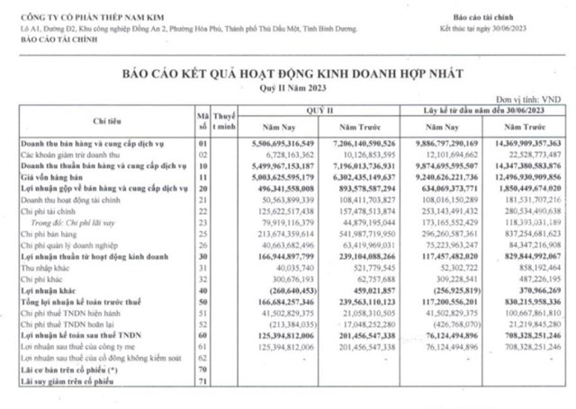 Kết quả kinh doanh qu&yacute; II/2023 của NKG