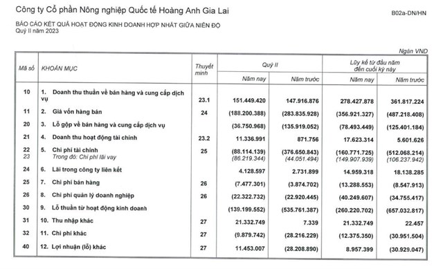 HAGL Agrico (HNG) thu hẹp khoản lỗ qu&#253; II/2023 xuống c&#242;n 128 tỷ đồng - Ảnh 1