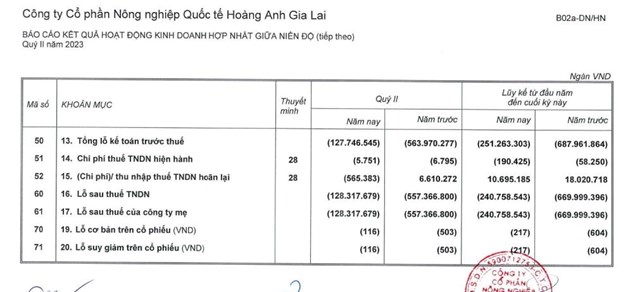Kết quả kinh doanh qu&yacute; II/2023 của HNG
