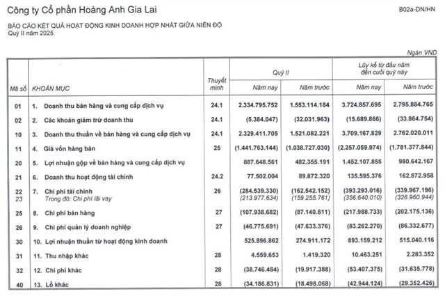 Nhờ động lực từ mảng tr&#225;i c&#226;y, Ho&#224;ng Anh Gia Lai (HAG) b&#225;o l&#227;i qu&#253; II tăng 88%, tho&#225;t lỗ lũy kế - Ảnh 1