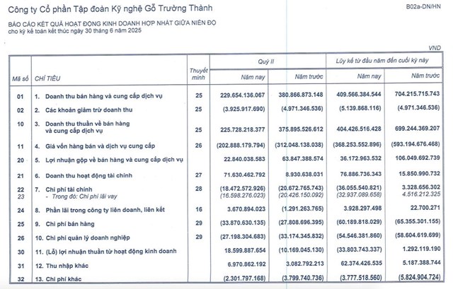 Gỗ Trường Th&#224;nh (TTF) b&#225;o l&#227;i &#39;khủng&#39; v&#224;o b&#225;n ni&#234;n năm 2025 - Ảnh 1