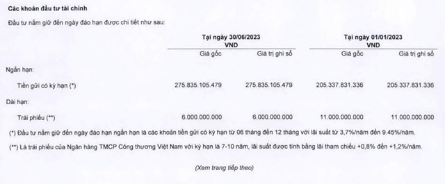C&#244;ng ty X&#226;y dựng số 1 (CC1) thuộc li&#234;n danh Vietur b&#225;o lỗ trong qu&#253; II/2023 - Ảnh 2