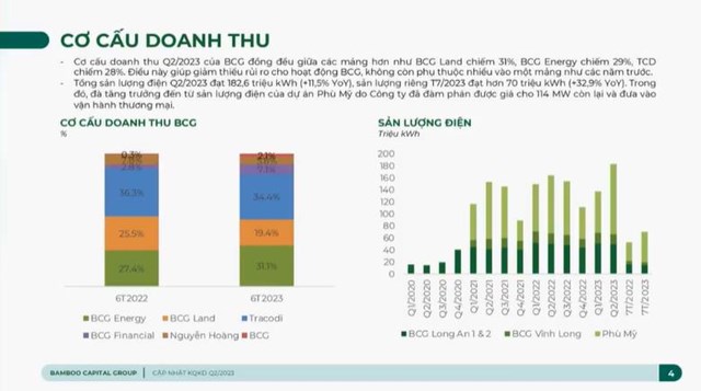 Bamboo Capital (BCG) b&#225;o l&#227;i sau thuế 169,5 tỷ đồng nửa đầu năm, thực hiện được 26,1% kế hoạch lợi nhuận năm - Ảnh 2
