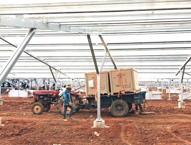 C&oacute; sự nở rộ&nbsp;đầu tư&nbsp;điện mặt trời tại c&aacute;c trang trại n&ocirc;ng nghiệp ở Ninh Thuận, B&igrave;nh Thuận, Đắk N&ocirc;ng... Ảnh: Thanh Hương