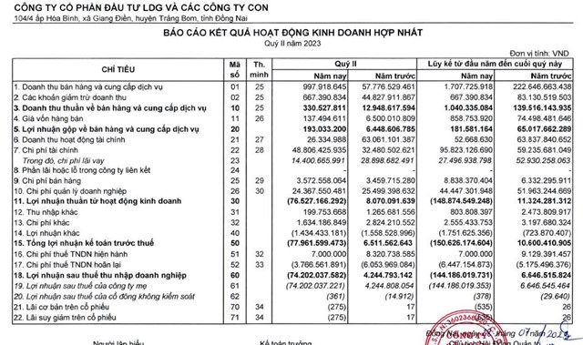 Chủ tịch C&#244;ng ty đầu tư LDG bị phạt hơn nửa tỷ đồng v&#224; đ&#236;nh chỉ hoạt động giao dịch 4 th&#225;ng - Ảnh 1