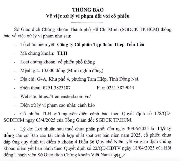 Vẫn c&#242;n lỗ lũy kế lớn, cổ phiếu của Th&#233;p Tiến L&#234;n (TLH) tiếp tục nằm trong diện cảnh b&#225;o - Ảnh 1