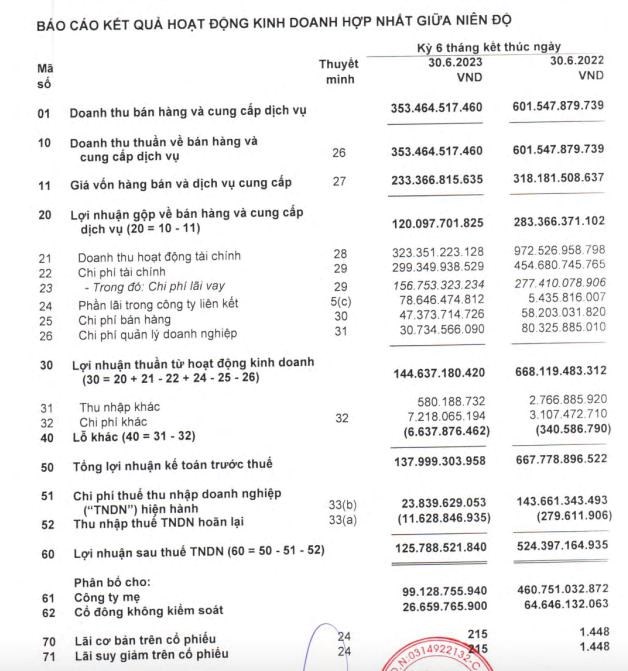 BCG Land l&#227;i hơn 125 tỷ đồng trong nửa đầu năm 2023 - Ảnh 1