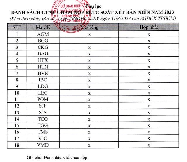 Danh s&aacute;ch c&aacute;c c&ocirc;ng ty chậm nộp BCTC kiểm to&aacute;n b&aacute;n ni&ecirc;n 2023. Nguồn: HOSE