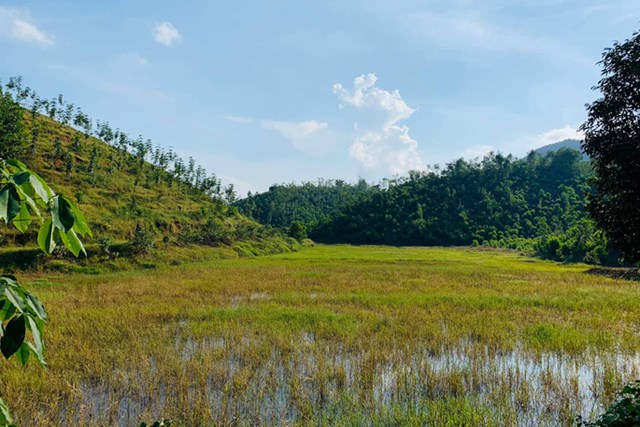 Đất n&ocirc;ng nghiệp tại nhiều địa phương như Bảo Lộc, B&agrave; Rịa - Vũng T&agrave;u đ&atilde; tăng mạnh trong khoảng 2 năm gần đ&acirc;y (Ảnh: T.K.Q)