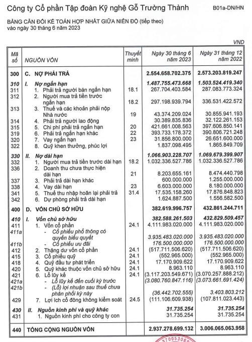 Gỗ Trường Th&#224;nh (TTF) lỗ th&#234;m 11 tỷ đồng sau kiểm to&#225;n, cổ phiếu bị giữ nguy&#234;n diện cảnh b&#225;o - Ảnh 2
