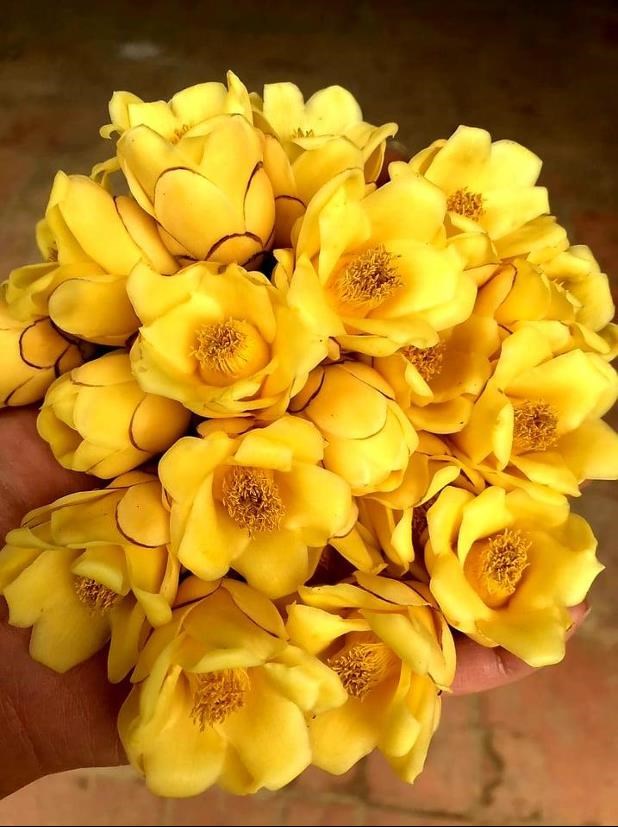 Sản phẩm chất lượng được chăm ch&uacute;t kĩ lưỡng