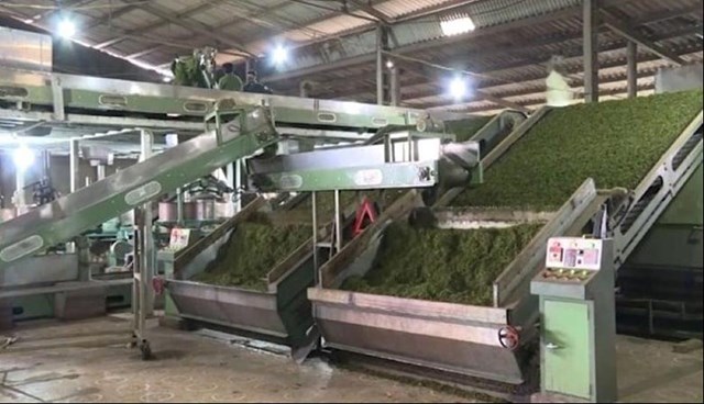 B&ecirc;n trong nh&agrave; m&aacute;y NTEA Khu c&ocirc;ng nghiệp B&igrave;nh Xuy&ecirc;n - Vĩnh Ph&uacute;c &nbsp;