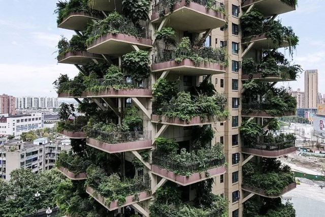 Tại th&agrave;nh phố Th&agrave;nh Đ&ocirc;, Tứ Xuy&ecirc;n, Trung Quốc tồn tại một dự &aacute;n nh&agrave; ở xanh mang t&ecirc;n&nbsp;Qiyi City Forest G&alpha;rden. Dự &aacute;n chung cư xanh hứa hẹn đem đến cho cư d&acirc;n một cuộc sống tương lai gần gũi với thi&ecirc;n nhi&ecirc;n, c&ugrave;ng nhiều lo&agrave;i thực vật đa dạng.&nbsp;