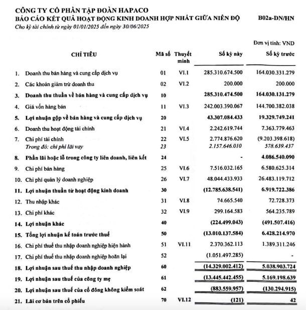 Hapaco (HAP) muốn bán cổ phần Bệnh viện Quốc tế Green để làm dự án giấy và nhà ở xã hội - Ảnh 2 Hapaco (HAP) muốn bán cổ phần Bệnh viện Quốc tế Green để làm dự án giấy và nhà ở xã hội - Ảnh 2