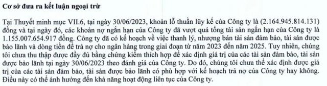 Nguồn: B&aacute;o c&aacute;o t&agrave;i ch&iacute;nh hợp nhất so&aacute;t x&eacute;t b&aacute;n ni&ecirc;n 2023 của DLG