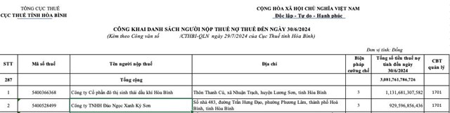 Nợ thuế gần 1.000 tỷ đồng, C&#244;ng ty Đảo Ngọc Xanh Kỳ Sơn b&#225;o ph&#225;t h&#224;nh th&#224;nh c&#244;ng 1.200 tỷ đồng tr&#225;i phiếu - Ảnh 2