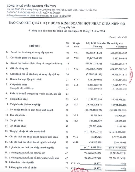 Lỗ b&#225;n ni&#234;n hơn 41,7 tỷ đồng, Sadico Cần Thơ (SDG) dự chi 20 tỷ đồng trả cổ tức năm 2023 - Ảnh 1