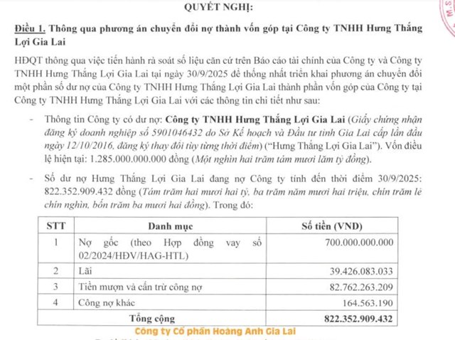 HAGL (HAG) vừa ho&#225;n đổi nợ th&#224;nh vốn g&#243;p tại c&#244;ng ty con Hưng Thắng Lợi Gia Lai - Ảnh 1