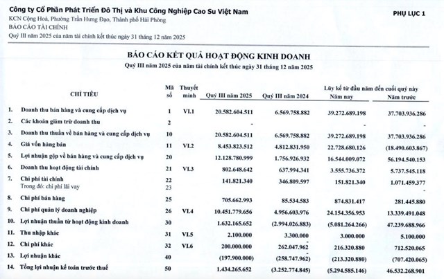 Nhờ hợp đồng thu&#234; mới, Ph&#225;t triển Đ&#244; thị v&#224; Khu c&#244;ng nghiệp Cao su Việt Nam (VRG) b&#225;o l&#227;i trở lại trong qu&#253; III/2025 - Ảnh 1