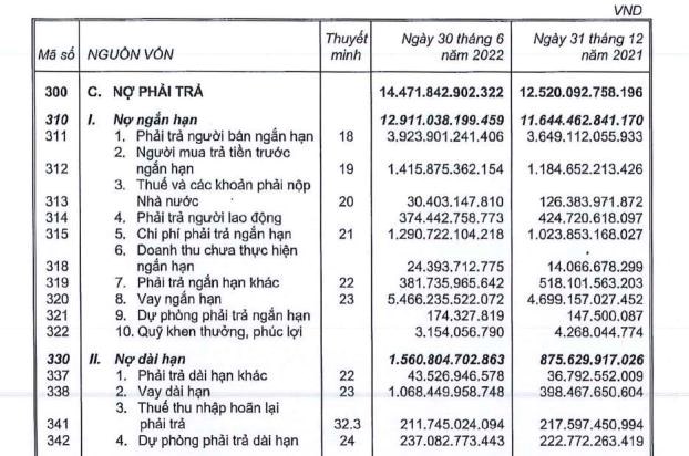 Nguồn: b&aacute;o c&aacute;o t&agrave;i ch&iacute;nh HBC