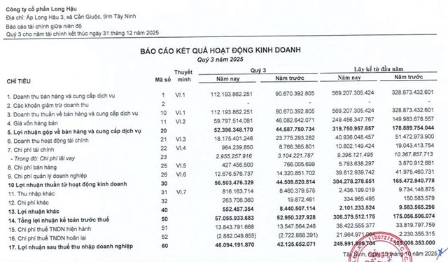 Long Hậu (LHG) b&#225;o l&#227;i 9 th&#225;ng đạt gần 246 tỷ đồng, vượt 70% mục ti&#234;u đề ra - Ảnh 1
