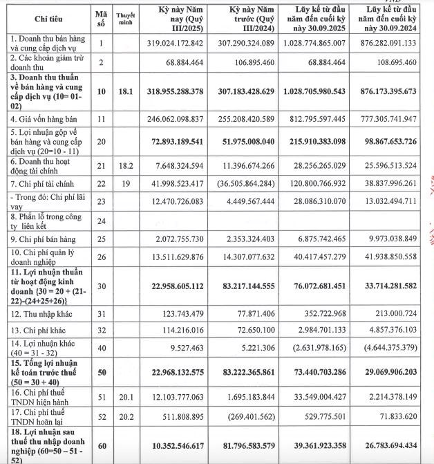 Chi ph&#237; t&#224;i ch&#237;nh b&#224;o m&#242;n, Sợi Thế Kỷ (STK) b&#225;o l&#227;i qu&#253; III/2025 b&#225;o giảm 87% c&#249;ng kỳ - Ảnh 1