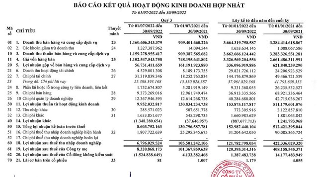 Nguồn: B&aacute;o c&aacute;o t&agrave;i ch&iacute;nh hợp nhất qu&yacute; III/2022 của C&ocirc;ng ty Th&eacute;p Tiến L&ecirc;n.