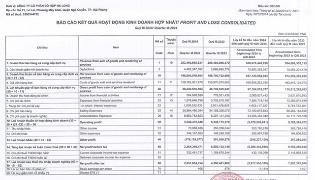 Gặp kh&#243; trong thu mua nguy&#234;n liệu n&#234;n d&#249; doanh thu tăng, Đồ hộp Hạ Long (CAN) vẫn b&#225;o l&#227;i giảm 54% trong qu&#253; III - Ảnh 1