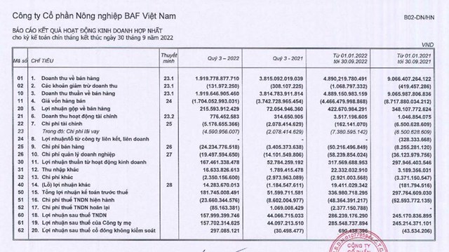 B&aacute;o c&aacute;o t&agrave;i ch&iacute;nh hợp nhất qu&yacute; III/2022 của BAF