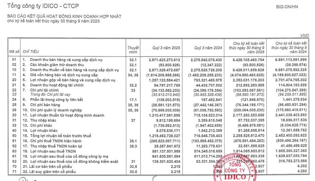 L&#227;i qu&#253; III/2025 tăng mạnh, Tổng c&#244;ng ty IDICO (IDC) r&#243;t 800 tỷ đồng v&#224;o c&#244;ng ty con  - Ảnh 1