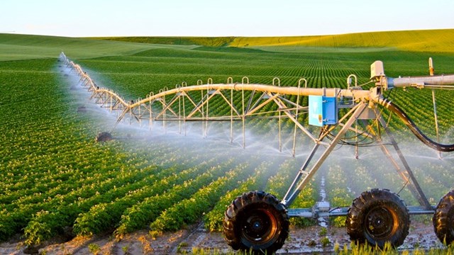 Những đ&oacute;ng g&oacute;p của khoa học c&ocirc;ng nghệ trong sản xuất n&ocirc;ng nghiệp đ&atilde; v&agrave; đang tạo động lực mới cho ng&agrave;nh n&ocirc;ng nghiệp Việt Nam.