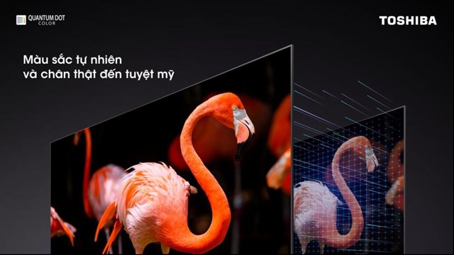 Tấm nền chấm lượng tử gi&uacute;p thể hiện h&igrave;nh ảnh một c&aacute;ch tuyệt mỹ với hơn 1 tỷ sắc m&agrave;u &nbsp;