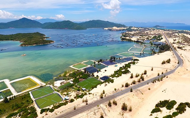 UBND tỉnh Kh&aacute;nh H&ograve;a vừa thống nhất chọn 4 địa điểm quy hoạch điện kh&iacute; tại khu vực Nam V&acirc;n Phong.