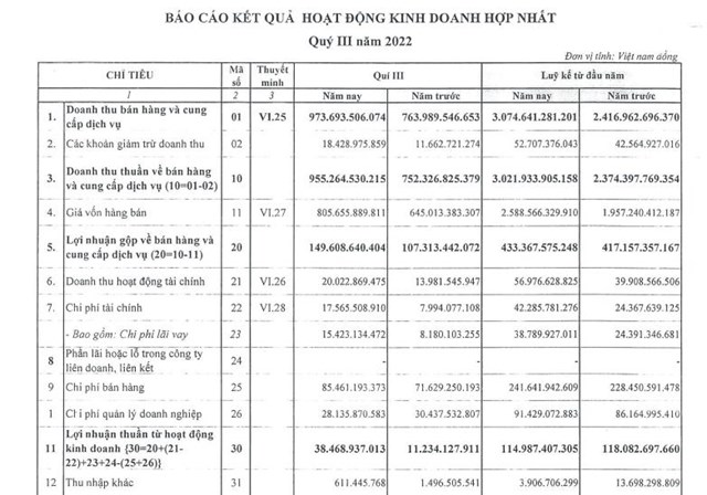 Kết quả kinh doanh qu&yacute; III/2022 của PGC.