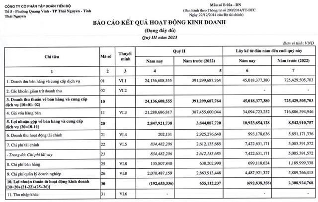 Lợi nhuận qu&#253; III/2023 lao dốc, Tập đo&#224;n Tiến Bộ (TTB) c&#242;n bị phạt 260 triệu đồng - Ảnh 1