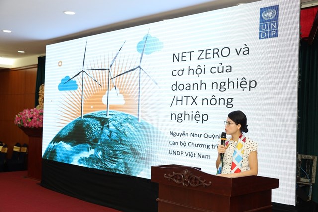Nguyễn Như Quỳnh - C&aacute;n bộ Chương tr&igrave;nh về ph&aacute;t triển bao tr&ugrave;m, Chương tr&igrave;nh Ph&aacute;t triển Li&ecirc;n hợp quốc (UNDP) tại Việt Nam